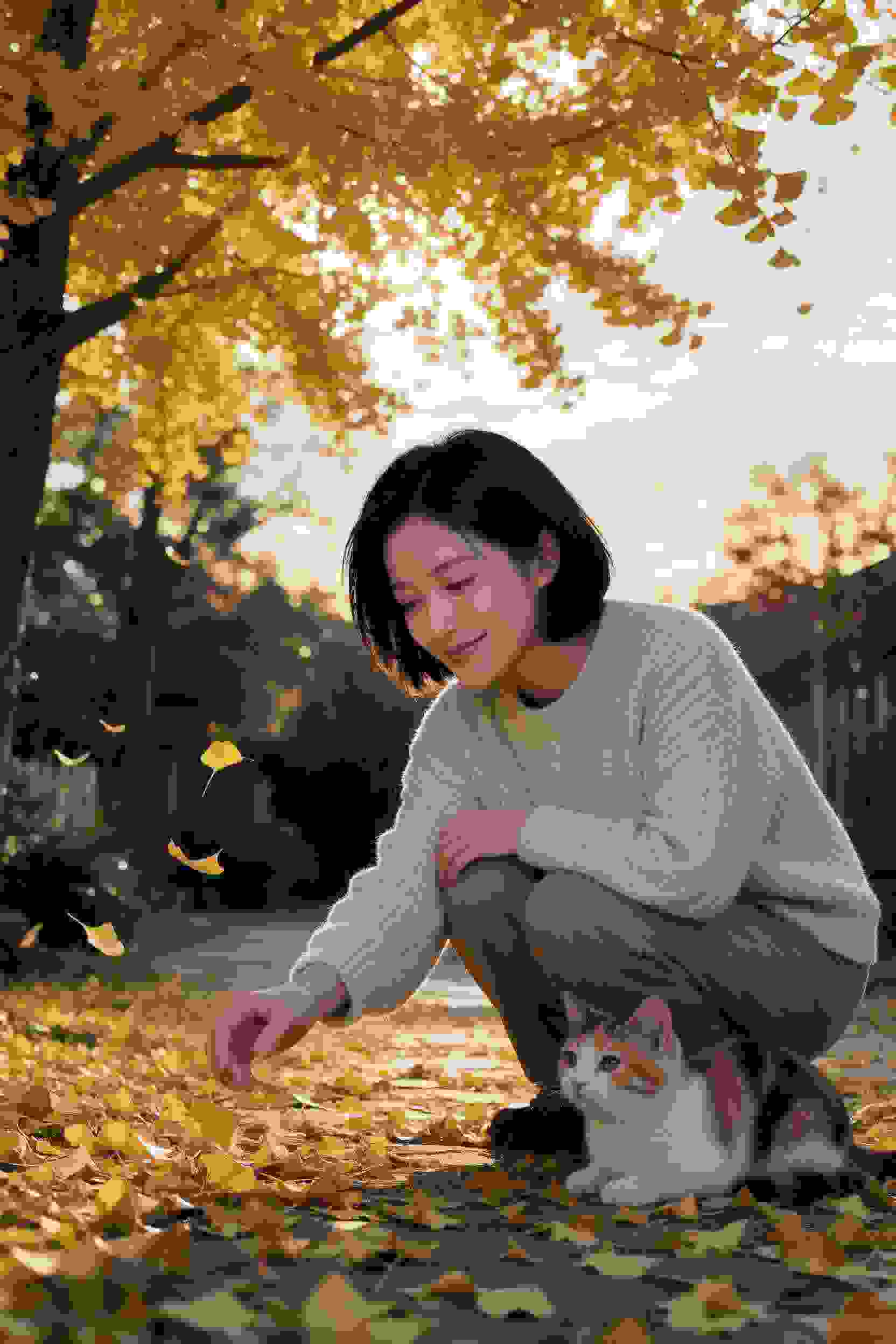 热门电视剧